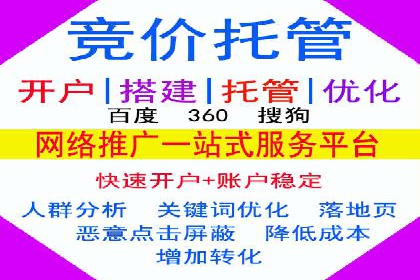 深度解析SEM推广代运营的成功案例及策略